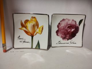Set 2 Piatti Fiori Tulipano Rosa