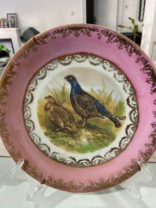 Set de 2 Platos de Porcelana Antigua