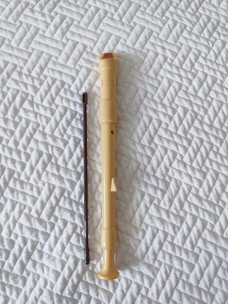 Flauta Hohner con Varilla de Limpieza