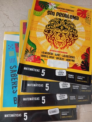 Lote libros 5 primaria