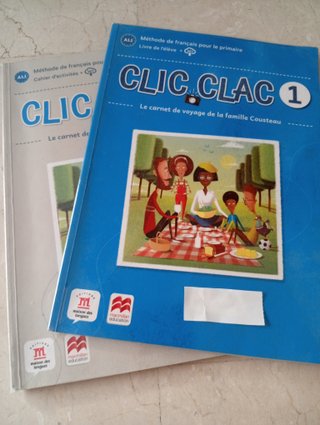 Lote libros 5 primaria