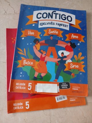Lote libros 5 primaria
