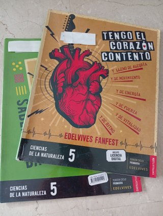 Lote libros 5 primaria