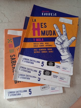 Lote libros 5 primaria