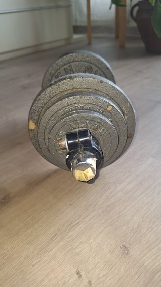 Mancuerna/Pesa ajustable