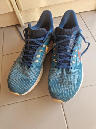 Nike Pegasus 39 Zapatillas Running Hombre