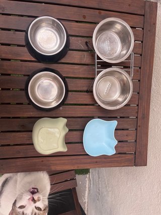 Comederos y bebederos para mascotas 2€ cada cuenco