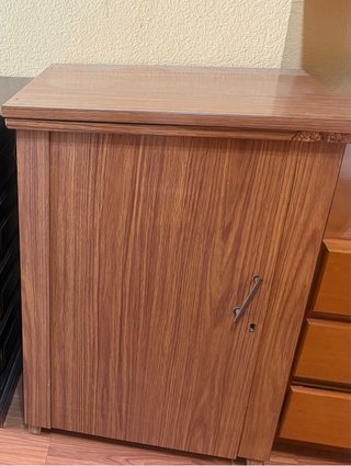 Máquina de coser Wertheim Rápida