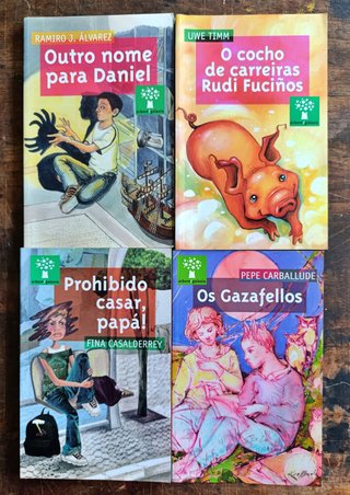 Lote 4 libros infantil y juvenil en gallego