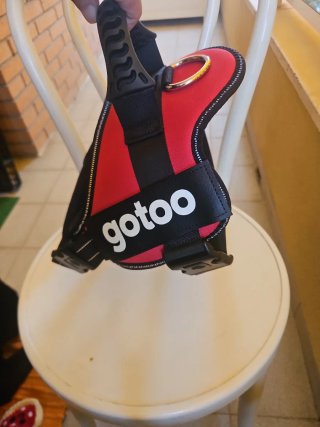Arnés para perro Gotto T L