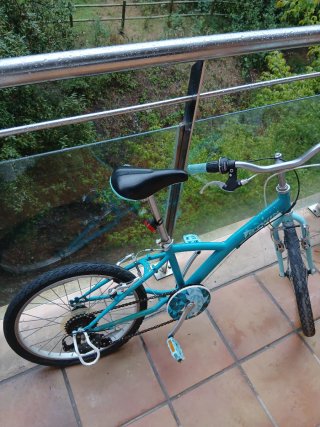 Bicicleta infantil azul