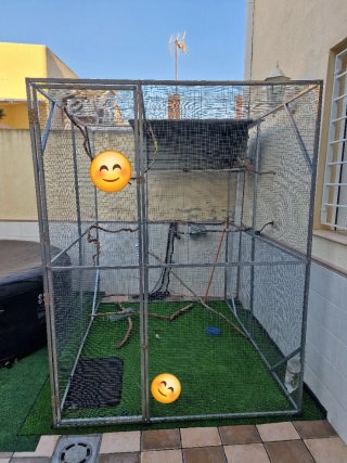 Voladera/Jaula para pájaros grande