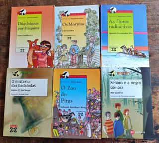Lote 6 libros infantil y juvenil en gallego