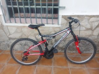 Bicicleta de Montaña Freerider