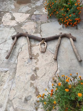 Yugo antiguo de hierro con madera de haya.