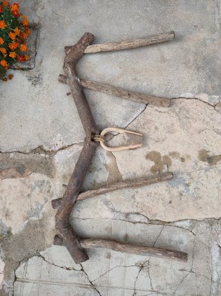Yugo antiguo de hierro con madera de haya.