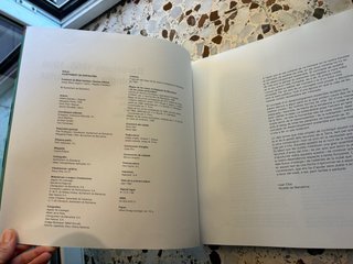 Barcelona 1985-1999, ecologia d'una ciutat