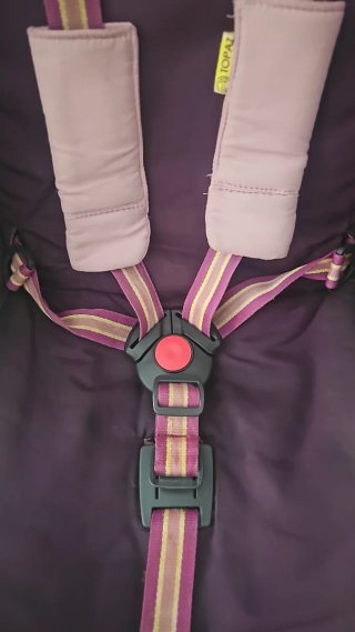 Silla de paseo Cybex Topaz morado
