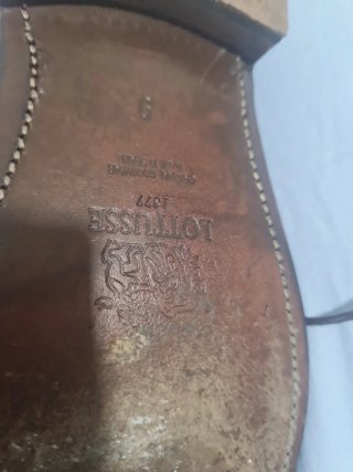 Zapato Lottusse Marrón