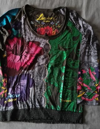 Camiseta Desigual Manga Larga Multicolor