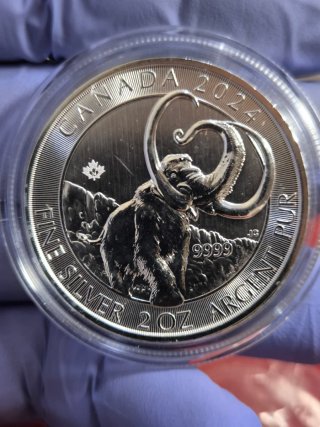 Moneda Plata 2 Onzas Mamut 2024 Edad de Hielo