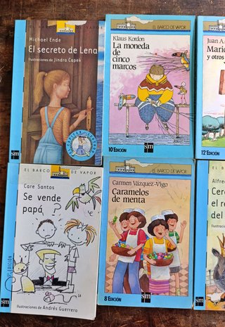 Lote 12 Libros El Barco de Vapor (Serie Azul - SM)