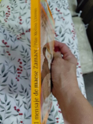El mensaje de maese Zamaor
