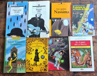 Lote 8 Libros Juveniles y Novelas