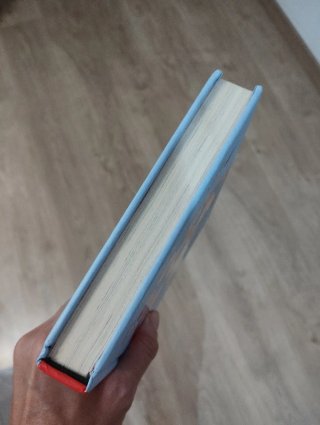 Libro Goa4