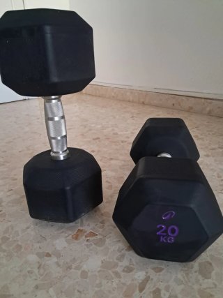 2 Mancuernas Domyos 20kg