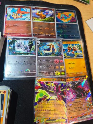 Lote de Cartas Pokémon TCG