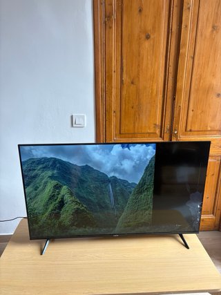 TV Xiaomi Google TV (Averiada para piezas)