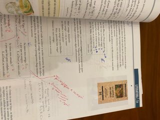 LINGUA E LITERATURA 1 Bach