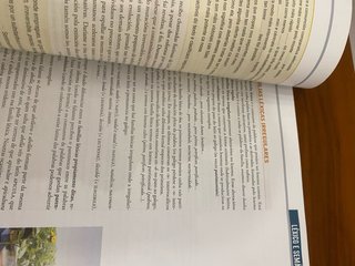 LINGUA E LITERATURA 1 Bach