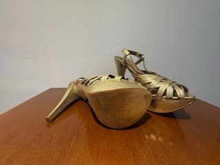 Zapato de fiesta de señora