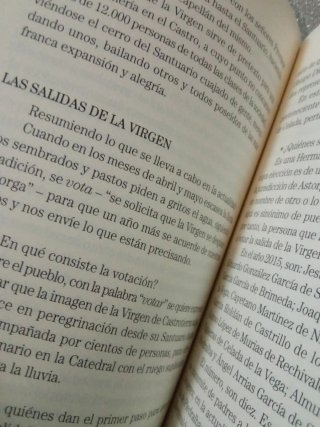 Libro la virgen del Castro