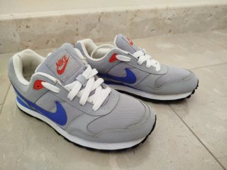 Scarpe Nike Grigie e Blu - Taglia 38