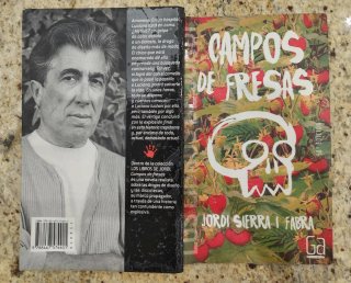 Novela Campos de fresas