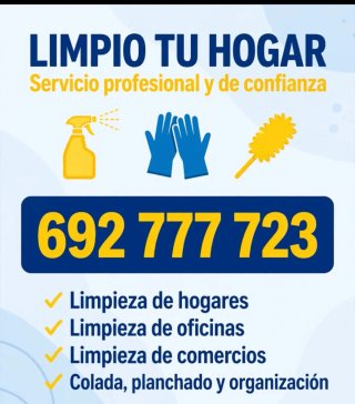 Servicio de limpieza y plancha