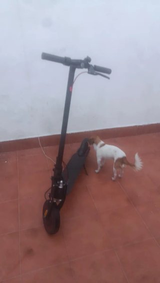 patinete Xiaomi Electric scooter pro