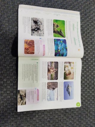 Ciencias da Natureza, 5 Primaria, Proxecto Cons...