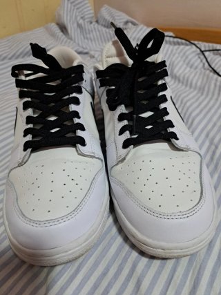 Nike Dunk Low Reverse Panda