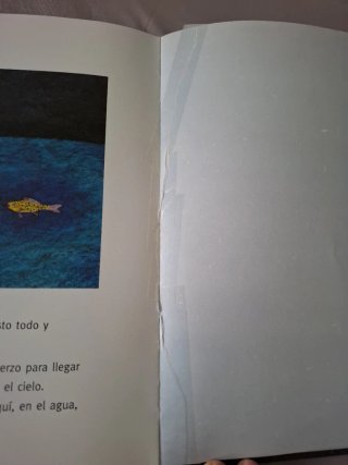 ¿A qué sabe la luna?