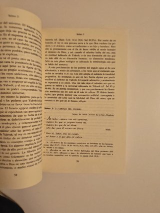 El libro de los Salmos