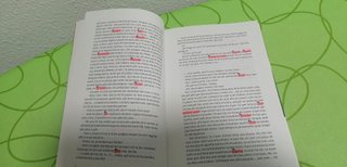 Un estiu amb l'Anna