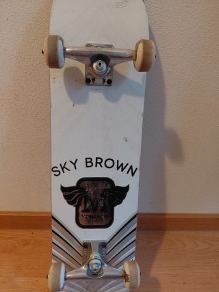 Skate Monarch Project Sky Brown