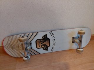 Skate Monarch Project Sky Brown