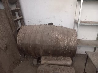 Bota de vino