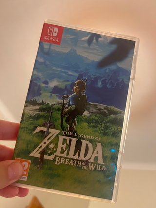 Zelda Breath of the Wild Nintendo Switch