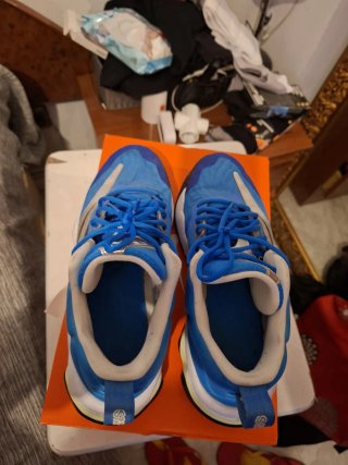 Zapatillas Nike Giannis Talla 43